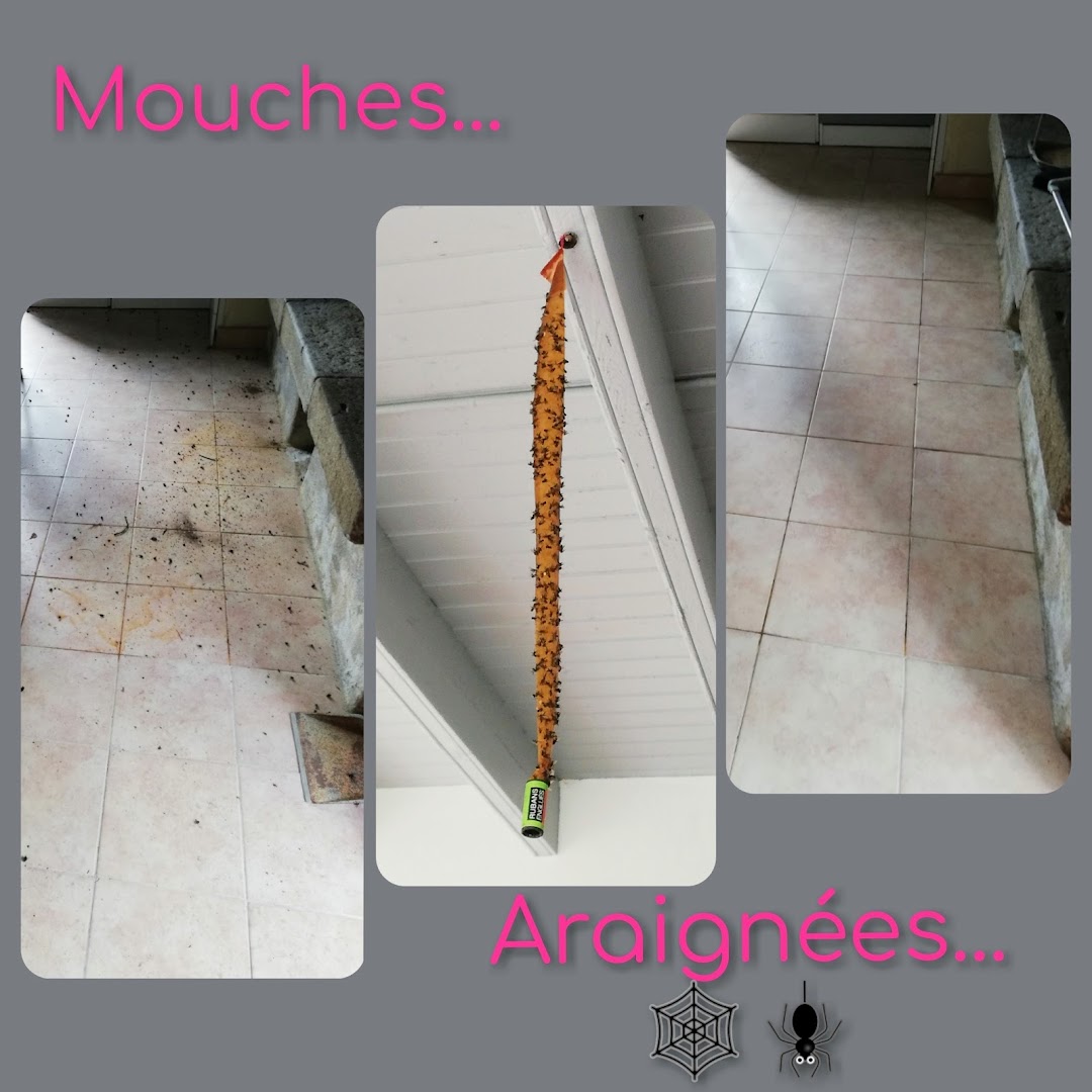 Le Coup de Main Bigouden — Photos 14